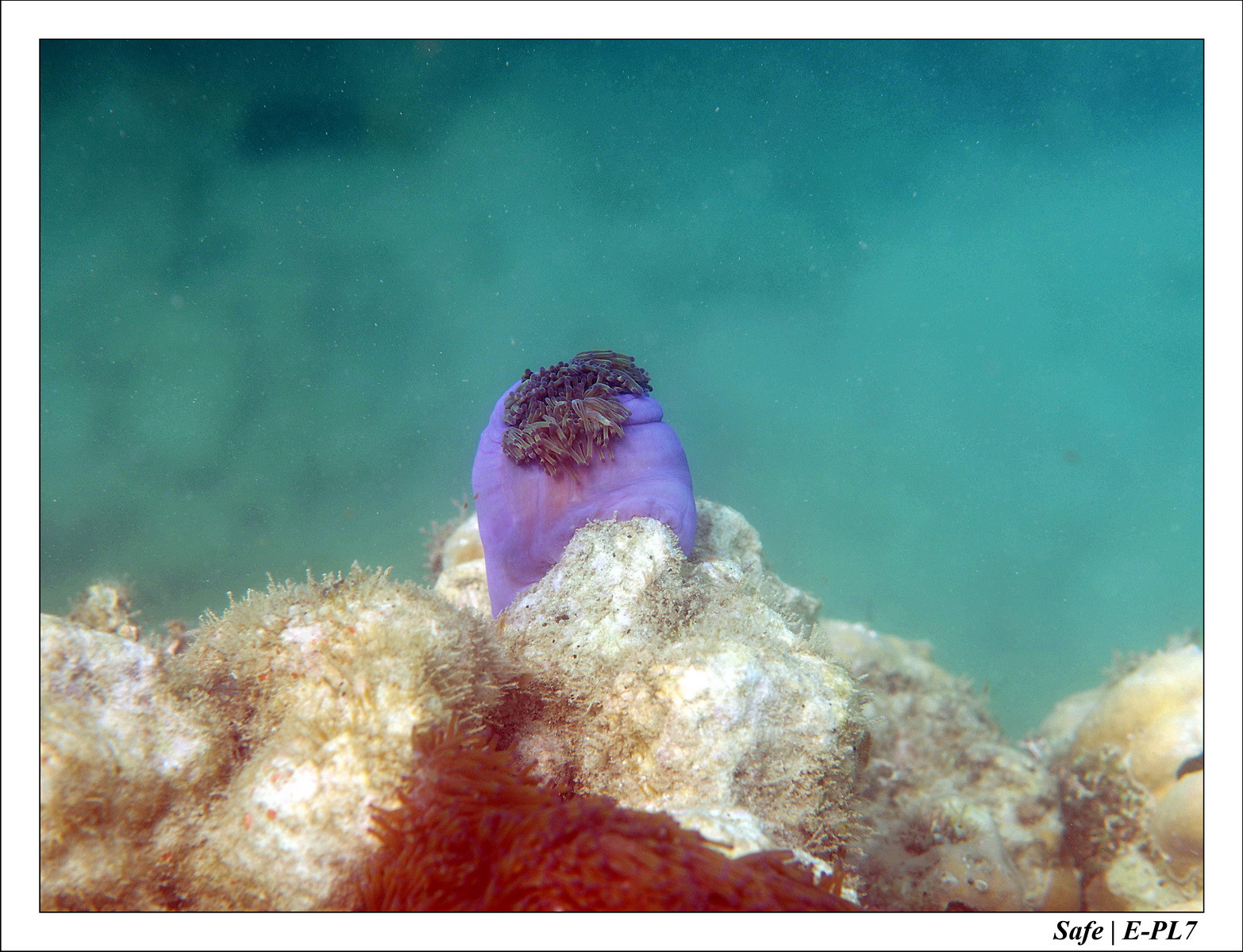 2018 - 08 - Pulau Besar - 04